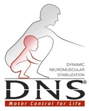 DNS, Dynamic Neuromuscular stabilization, rehab, core stability, trunk stability
